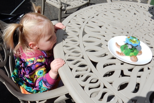 Robin looking at Discworld cookie